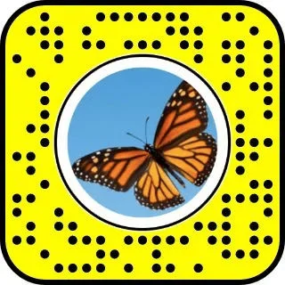 Scan a Snapcode image