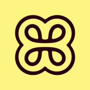 Heidi AI logo