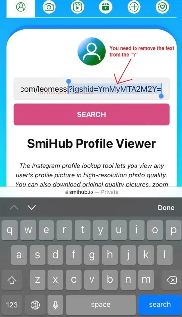 How To Use SmiHub Profile Viewer Tool For New User? 5 How to use SmiHub to view and download Instagram profile pictures?-4