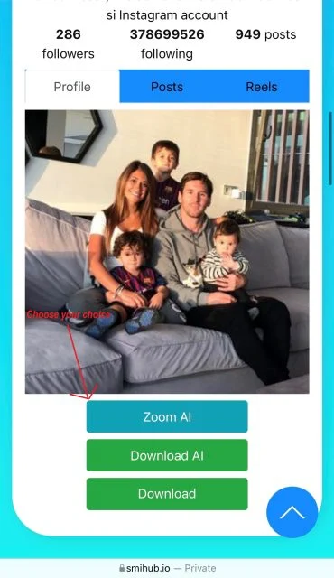 How To Use SmiHub Profile Viewer Tool For New User? 8 How to use SmiHub to view and download Instagram profile pictures?-7