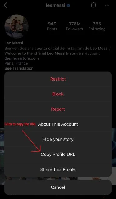 How To Use SmiHub Profile Viewer Tool For New User? 3 How to use SmiHub to view and download Instagram profile pictures?-2