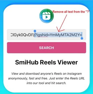 How To Use SmiHub Reels Viewer Tool For New User? 5 How To Use SmiHub Reels Viewer Tool For New User?-4