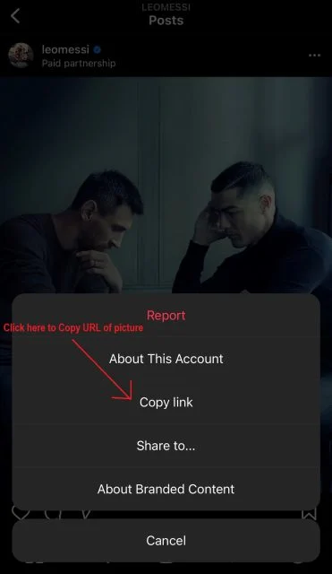 How To Use SmiHub Photo Viewer Tool For New User? 2 How To Use SmiHub Instagram Photo Viewer Tool For New User?-2