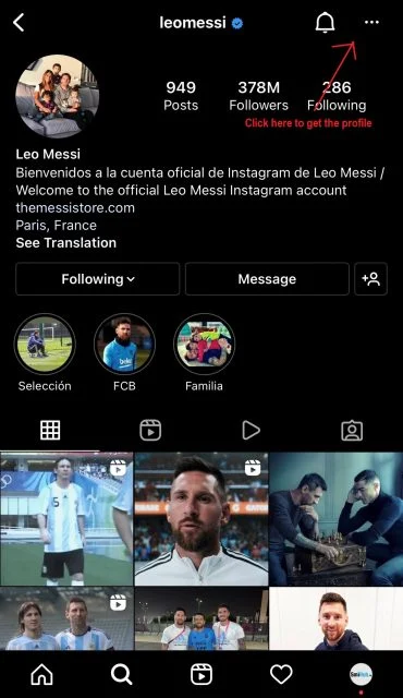 How To Use SmiHub Profile Viewer Tool For New User? 2 How to use SmiHub to view and download Instagram profile pictures?-1