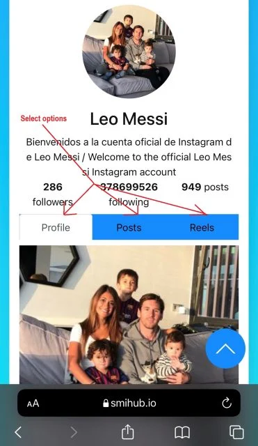 How To Use SmiHub Profile Viewer Tool For New User? 7 How to use SmiHub to view and download Instagram profile pictures?-6