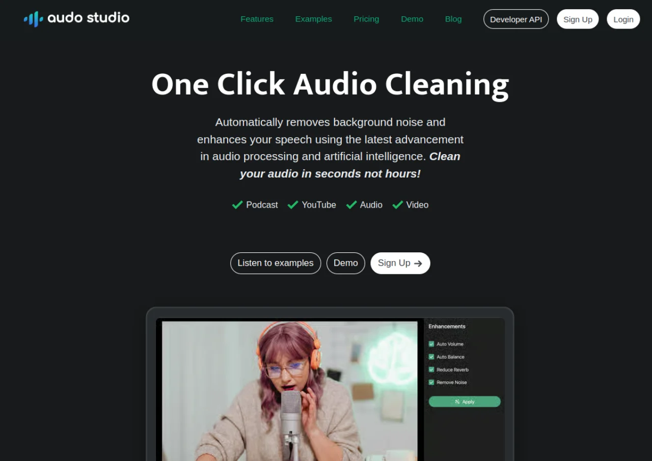 Audo AI screenshot