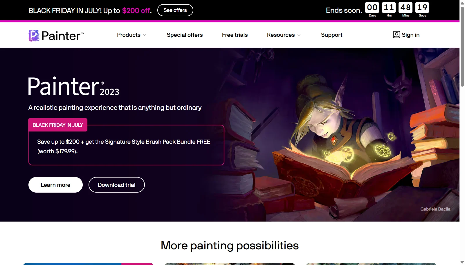 Corel Painter screenshot