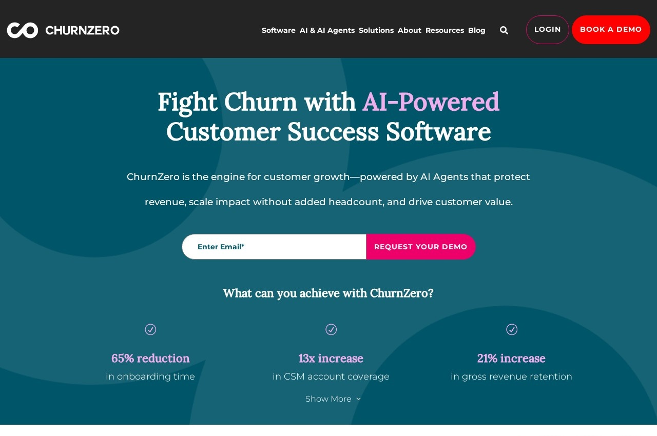 ChurnZero screenshot