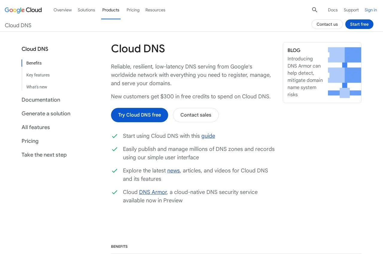 Google Cloud DNS screenshot