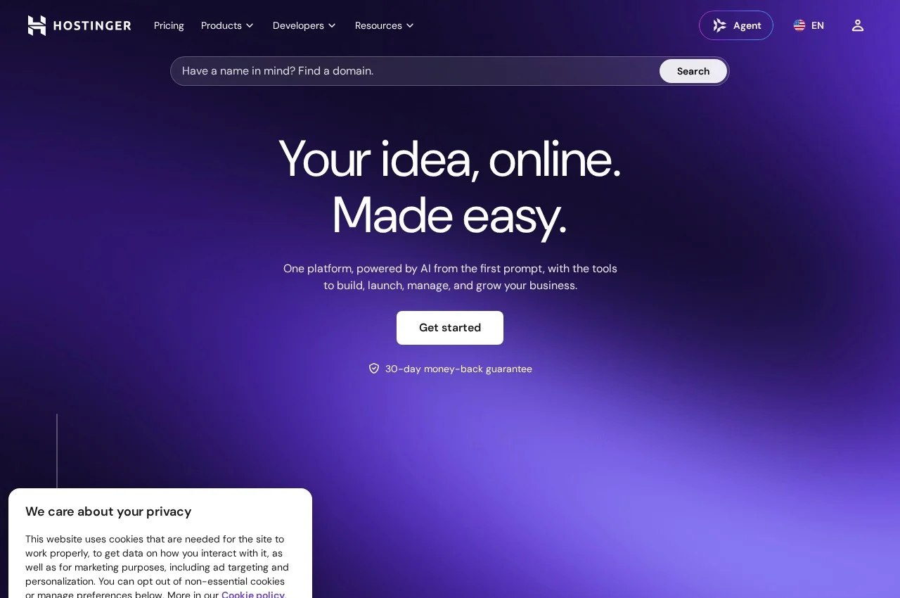 Hostinger screenshot