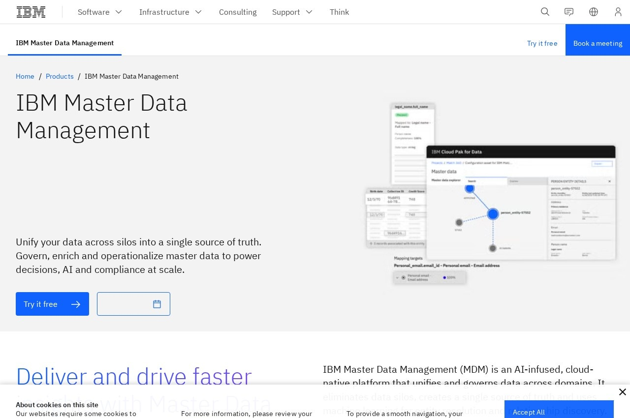 IBM InfoSphere MDM screenshot