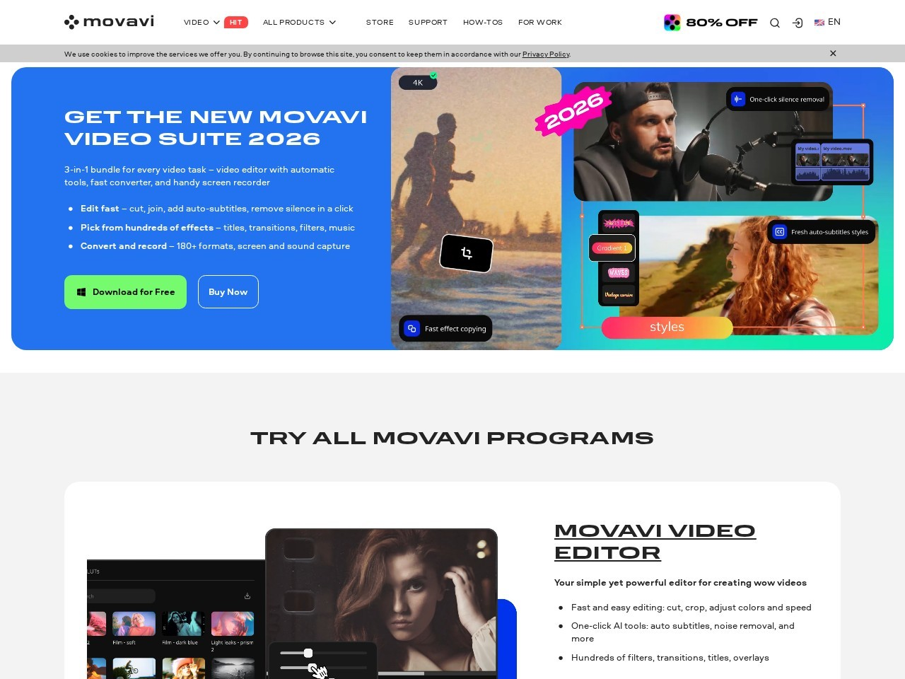 Movavi Video Converter screenshot