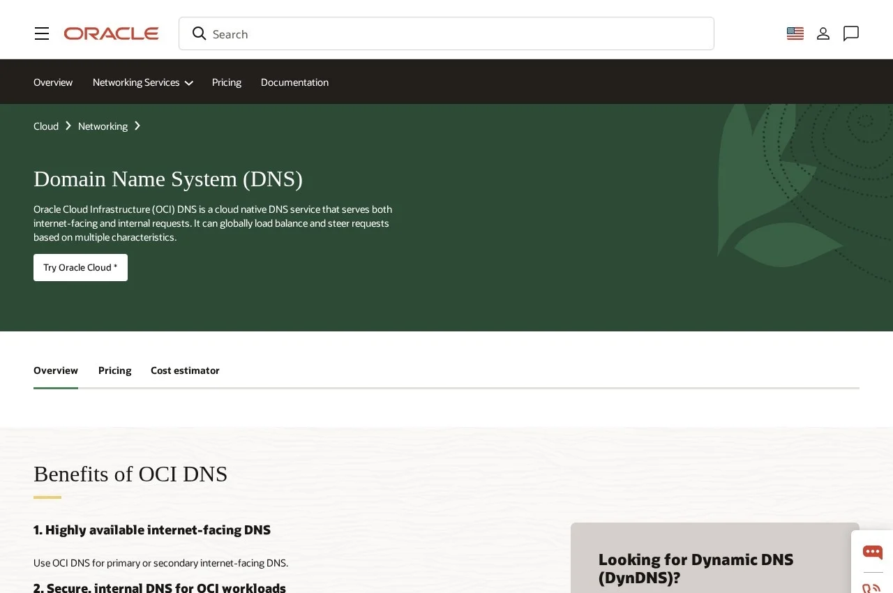Oracle Dyn DNS screenshot