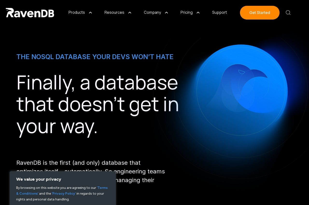 RavenDB screenshot