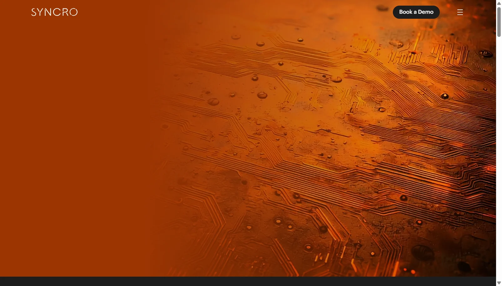 Syncro screenshot