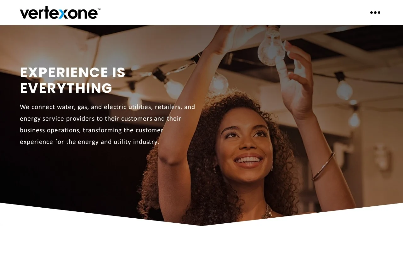 VertexOne screenshot