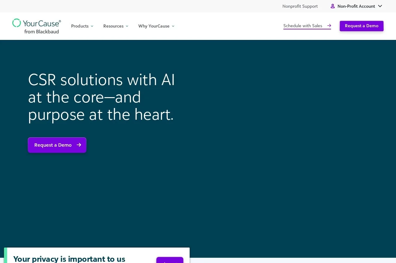 YourCause screenshot
