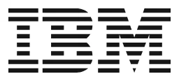 NS1 (IBM) logo