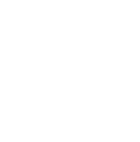 Igloo Vision logo